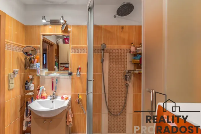 Prodej bytu 3+kk, Praha, Štichova, 58 m2
