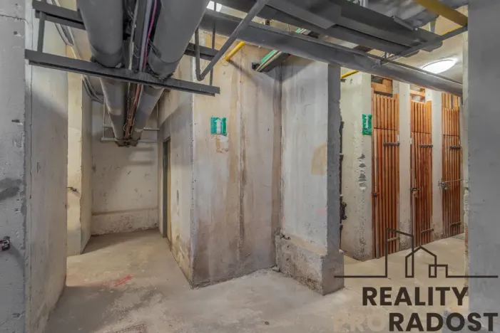 Prodej bytu 3+kk, Praha, Štichova, 58 m2