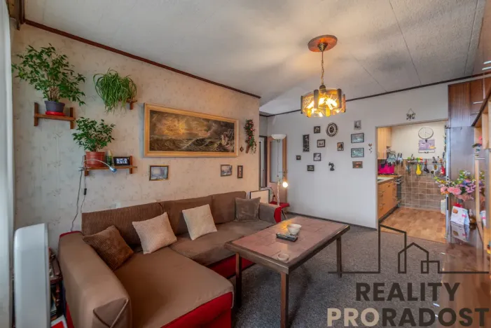 Prodej bytu 3+kk, Praha, Štichova, 56 m2