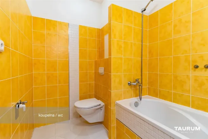 Prodej bytu 3+kk, Plzeň - Východní Předměstí, Květná, 69 m2
