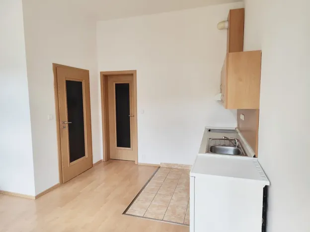 Pronájem bytu 1+kk, České Budějovice - České Budějovice 3, Riegrova, 25 m2
