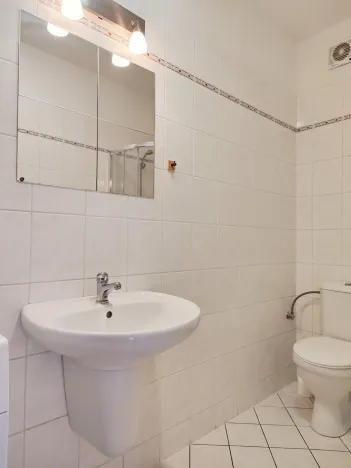 Pronájem bytu 1+kk, České Budějovice - České Budějovice 3, Riegrova, 25 m2