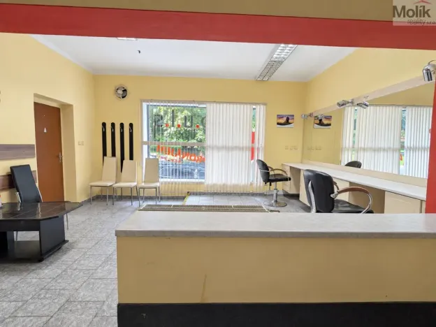 Pronájem obchodního prostoru, Krupka, Poštovní, 38 m2