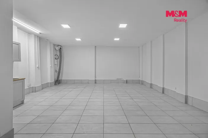 Prodej komerční nemovitosti, Praha, Vlkova, 48 m2