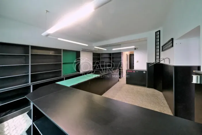 Prodej vícegeneračního domu, Postoloprty, Masarykova, 287 m2