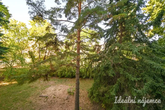 Pronájem bytu 2+1, Brno, Jílová, 54 m2