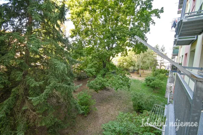 Pronájem bytu 2+1, Brno, Jílová, 54 m2