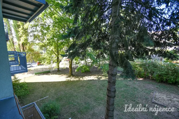 Pronájem bytu 2+1, Brno, Jílová, 54 m2