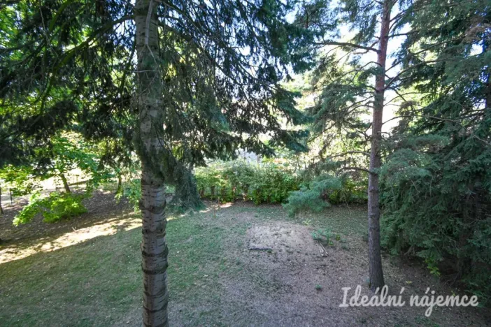 Pronájem bytu 2+1, Brno, Jílová, 54 m2