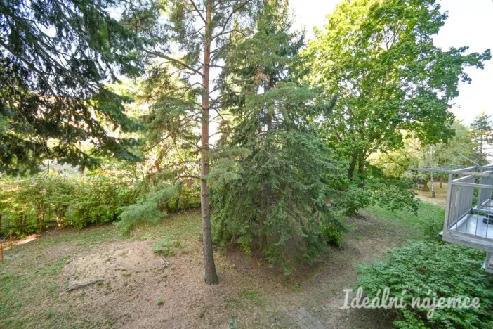 Pronájem bytu 2+1, Brno, Jílová, 54 m2