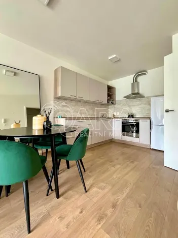 Pronájem bytu 2+kk, České Budějovice - České Budějovice 3, Nová, 73 m2