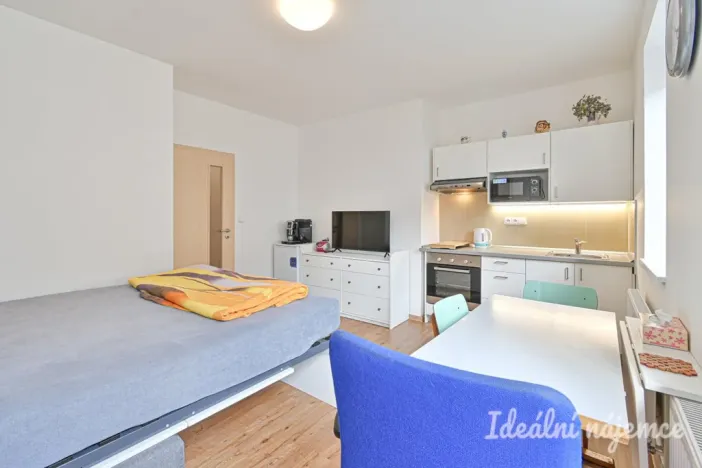 Pronájem bytu 1+kk, Brno, Hostinského, 25 m2