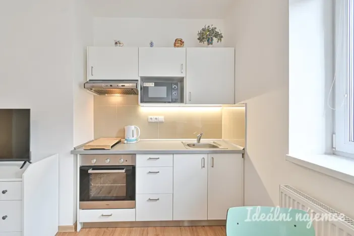 Pronájem bytu 1+kk, Brno, Hostinského, 25 m2