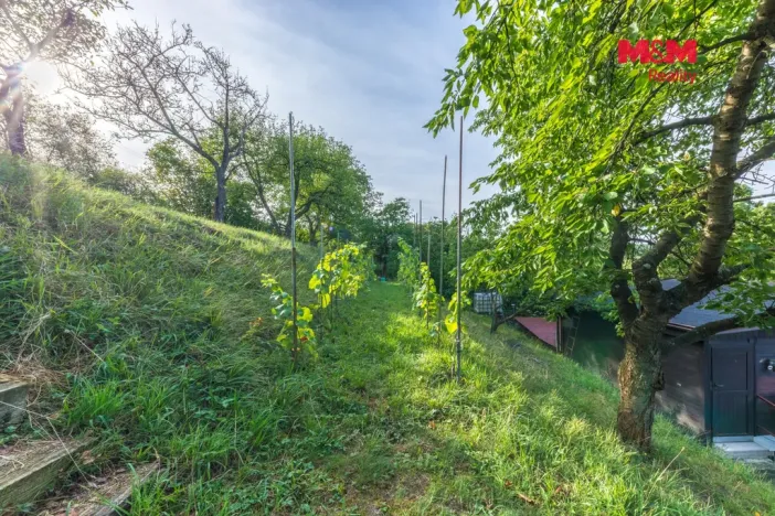 Prodej chaty, Kly - Dolní Vinice, 38 m2