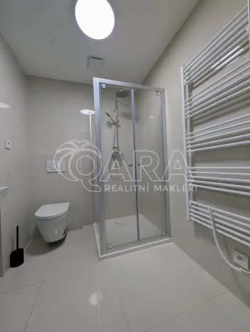 Pronájem bytu 1+kk, Plzeň - Skvrňany, Na Průhonu, 36 m2