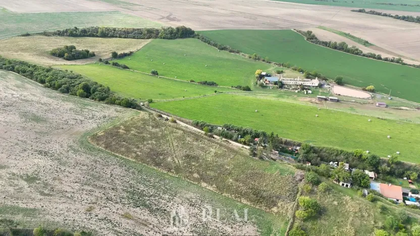 Prodej pozemku pro bydlení, Brloh, 1196 m2