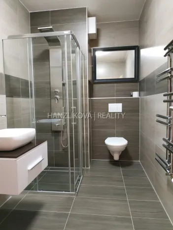 Pronájem bytu 1+kk, České Budějovice - České Budějovice 2, České Vrbné, 40 m2