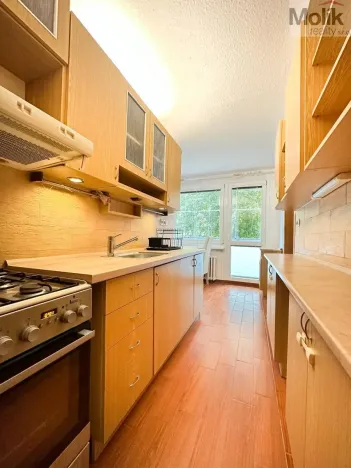 Pronájem bytu 2+1, Teplice - Trnovany, Gagarinova, 56 m2