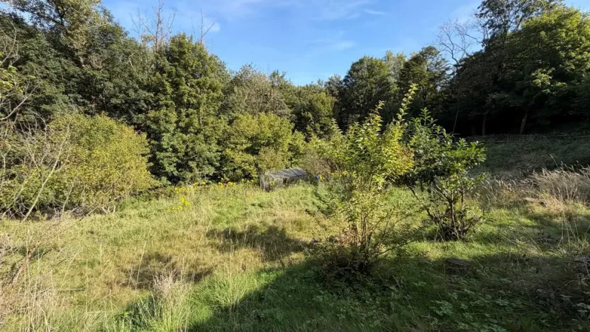 Prodej chaty, Malečov - Horní Zálezly, 16 m2