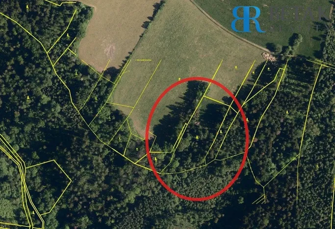 Prodej pole, Hranice - Hranice IX-Uhřínov, 30000 m2