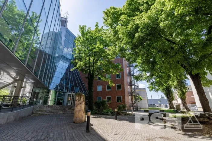 Pronájem kanceláře, Brno - Zábrdovice, Plynárenská, 450 m2