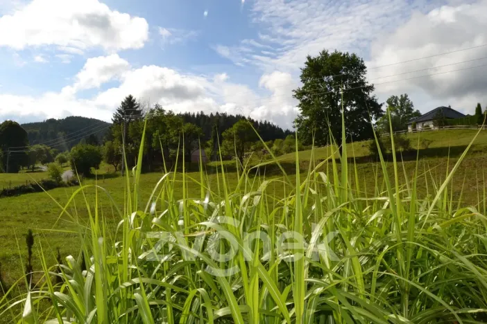 Prodej rodinného domu, Hošťálková, 120 m2