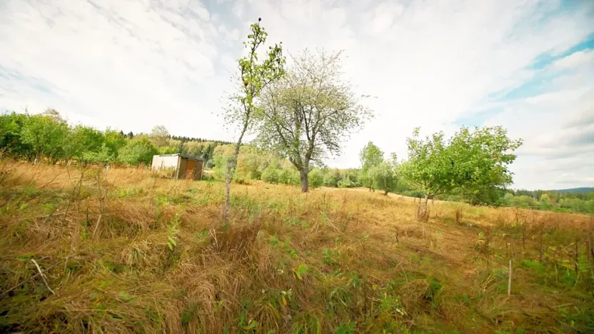 Prodej pozemku pro bydlení, Nová Pec, 2451 m2