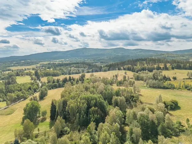 Prodej pozemku pro bydlení, Nová Pec, 2451 m2
