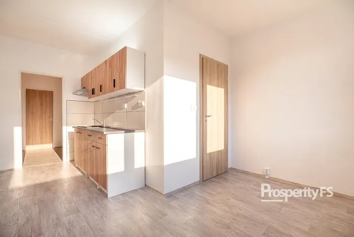Prodej bytu 2+1, Ústí nad Labem - Střekov, Nová, 62 m2