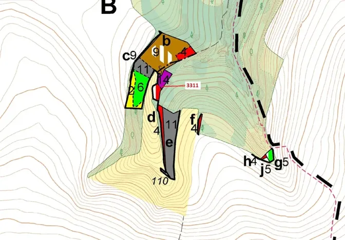 Dražba lesa, Bělá nad Svitavou, 284 m2
