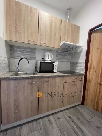 Prodej bytu 1+kk, Český Krumlov - Nové Spolí, 20 m2