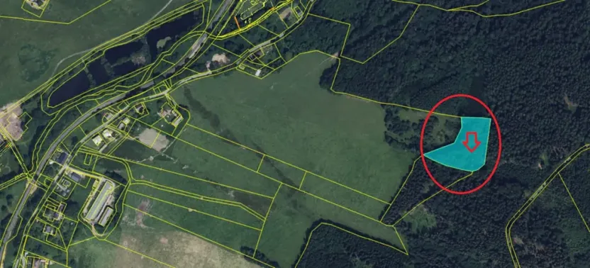 Prodej podílu lesa, Červená Voda, 5759 m2
