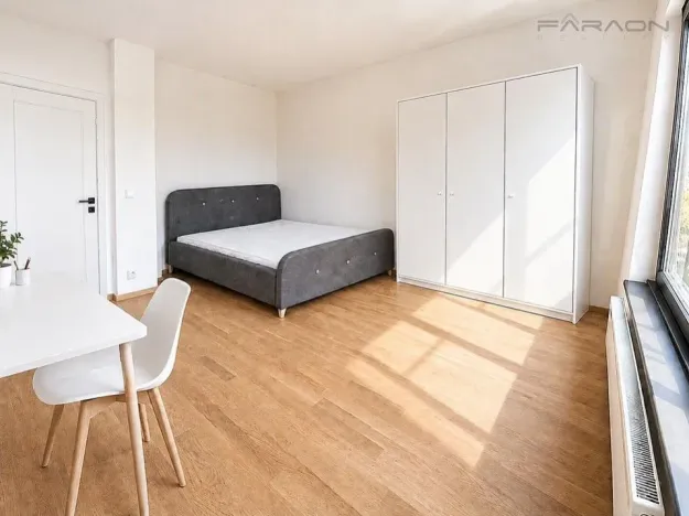 Pronájem bytu 2+kk, Praha - Karlín, Švarcova, 55 m2