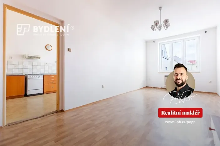 Prodej bytu 2+1, Světec, Kostomlatská, 77 m2