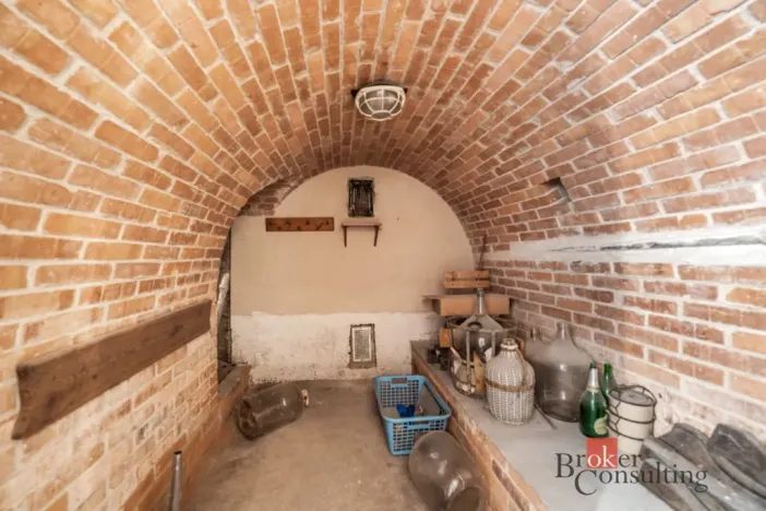 Prodej rodinného domu, Blučina, Nová, 220 m2