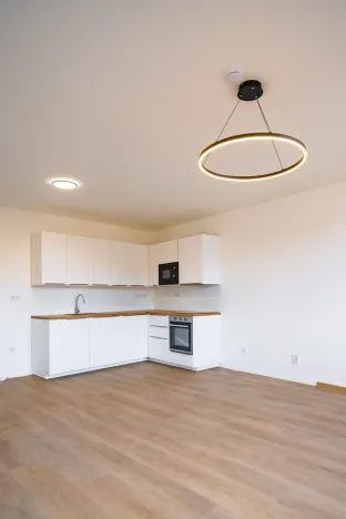 Pronájem bytu 1+kk, Silůvky, Anenská, 40 m2
