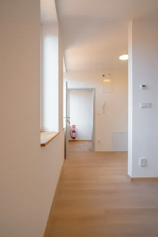 Pronájem bytu 1+kk, Silůvky, Anenská, 40 m2