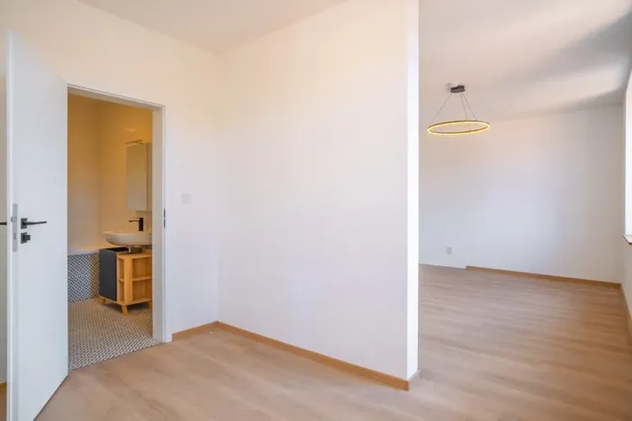 Pronájem bytu 1+kk, Silůvky, Anenská, 40 m2