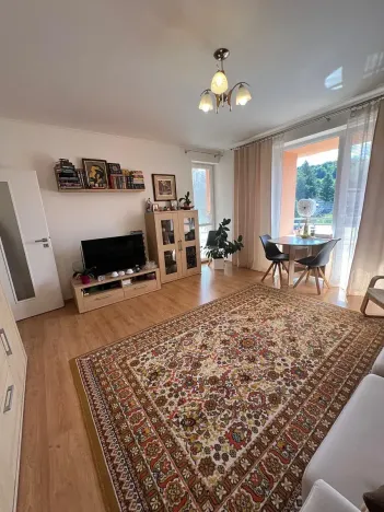 Prodej bytu 1+1, Karlovy Vary, Spálená, 50 m2