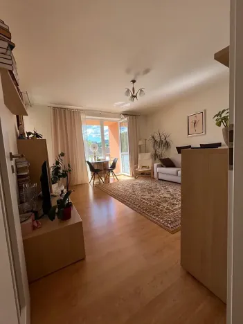 Prodej bytu 1+1, Karlovy Vary, Spálená, 50 m2