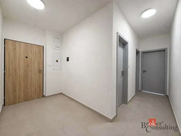 Pronájem bytu 2+kk, Plzeň - Jižní Předměstí, Železná, 57 m2