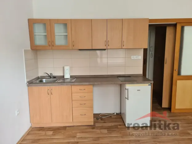 Pronájem bytu 1+kk, Opava - Předměstí, Nerudova, 22 m2