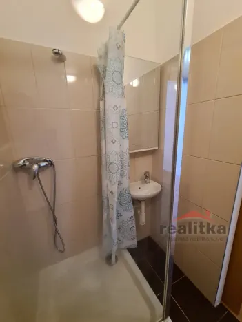 Pronájem bytu 1+kk, Opava - Předměstí, Nerudova, 22 m2
