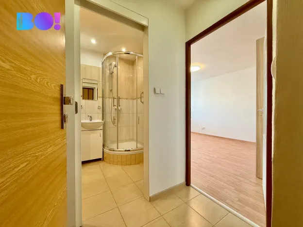 Prodej bytu 1+1, Havířov, Kosmonautů, 26 m2