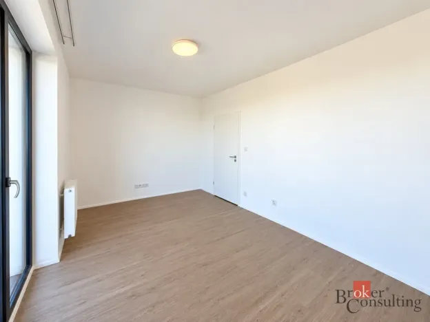 Pronájem bytu 2+kk, Plzeň - Jižní Předměstí, Železná, 57 m2