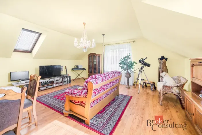 Prodej rodinného domu, Plzeň - Újezd, třída Vojtěcha Rojíka, 322 m2