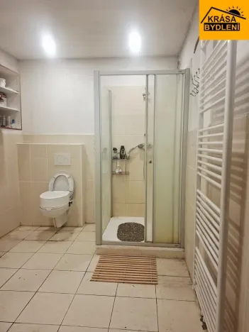Prodej rodinného domu, Loučany, 250 m2