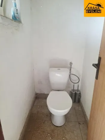 Prodej rodinného domu, Loučany, 250 m2