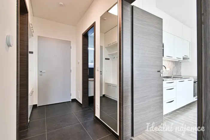 Pronájem bytu 2+kk, Brno - Sadová, Menšíkova, 60 m2