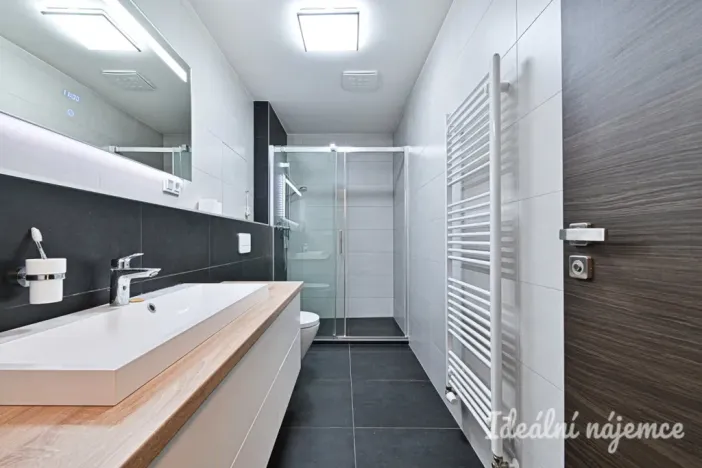 Pronájem bytu 2+kk, Brno - Sadová, Menšíkova, 60 m2